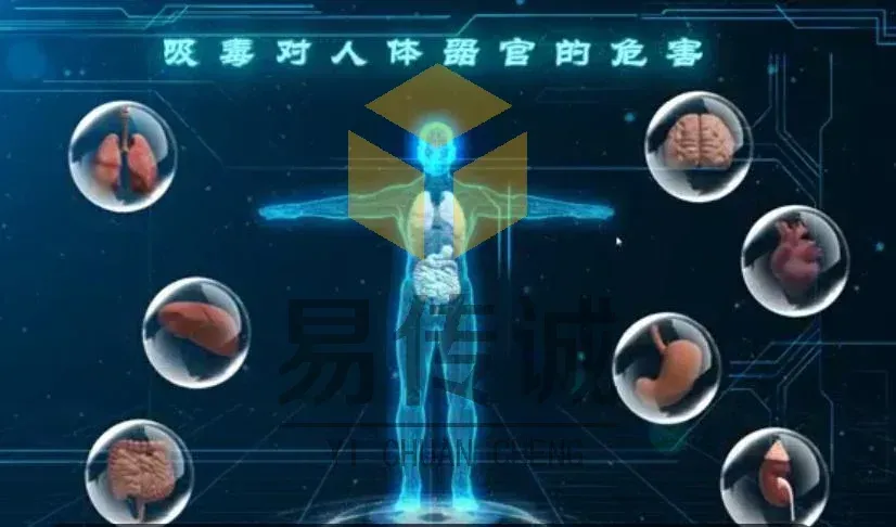 禁毒教育展厅常用科技体验设备：VR/AR/ 全息沉浸式体验，易传诚以技术领跑行业 · 原官网配图 2